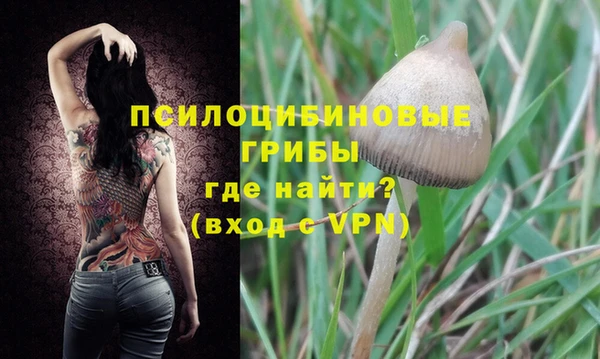 дурь Абдулино