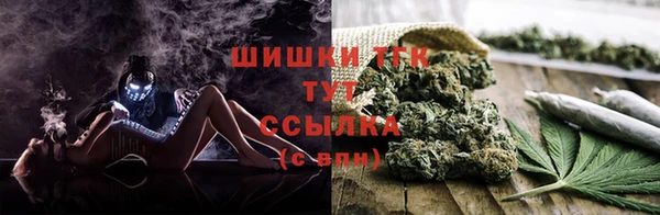 ПСИЛОЦИБИНОВЫЕ ГРИБЫ Абаза